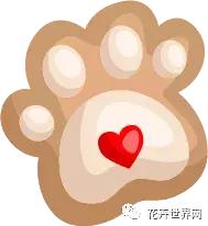 香港花卉艺术展,共赴盛会活动