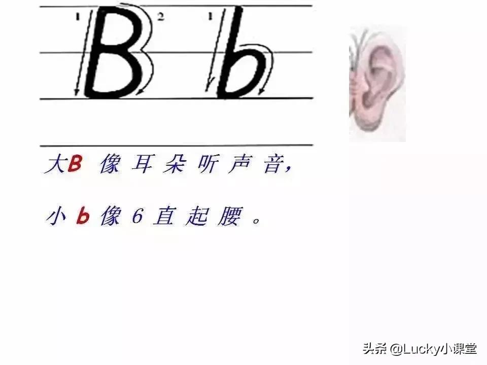 英语字母书写小知识,英语字母书写规范讲解