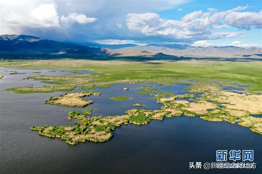 夏季的可可托海视频,夏天可可托海实拍