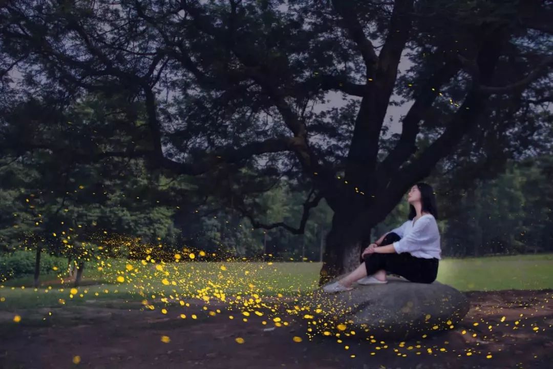 成都东二环高架桥,成都东二环高架图片