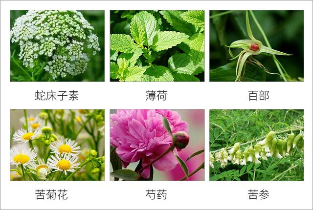 脸上螨虫的正确消灭方法,脸上的螨虫能不能彻底消灭