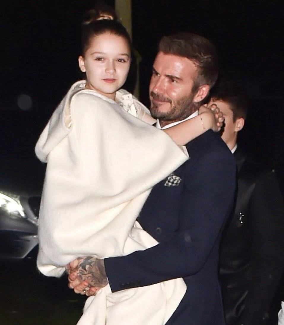 贝嫂单手抱小七,贝嫂庆生小七