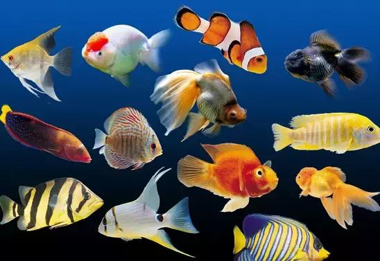 想要财运好这个方法务必要知道,想要旺财运