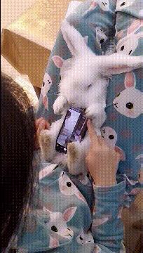 木乃伊搞笑图片4k,搞笑木乃伊制作过程