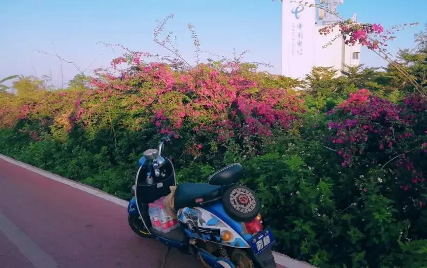 6月涠洲岛自由行,4月中去涠洲岛合适吗