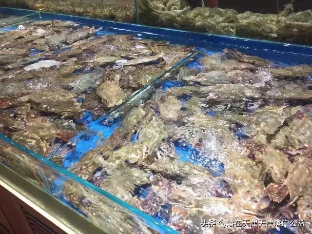 开海了怎么选海鲜,开海了囤点什么海鲜合适