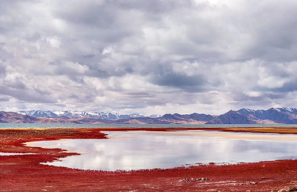 1011月错过它们,等于错过整个秋天!人少清净,随手一拍都是大片