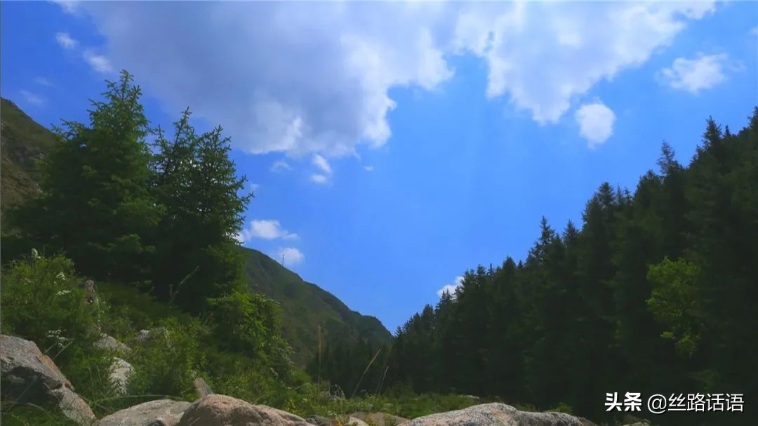 春暖花开等你来赏花,春暖花开等你来赏花原唱视频