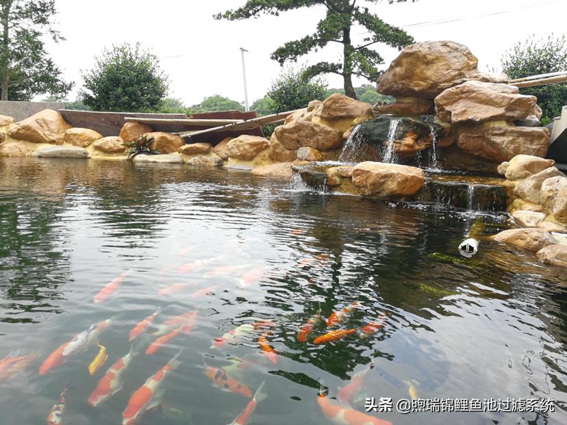 一个强大的过滤系统,一个过滤系统带多个鱼缸