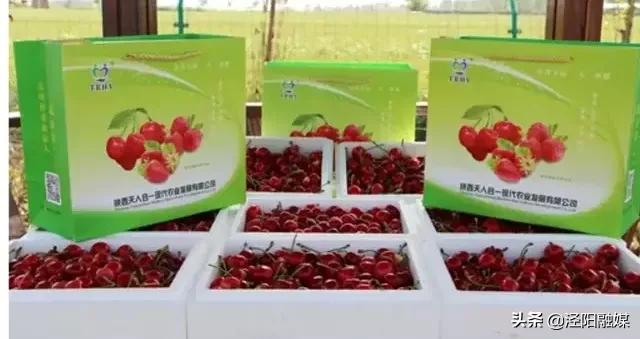 泾阳大樱桃,吃樱桃需要注意哪些事项