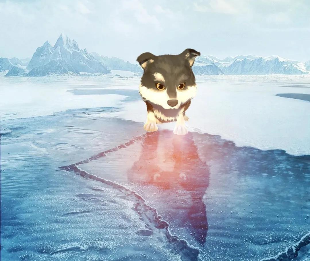 拯救不开心之类电影推荐,十部让人内心平静的电影