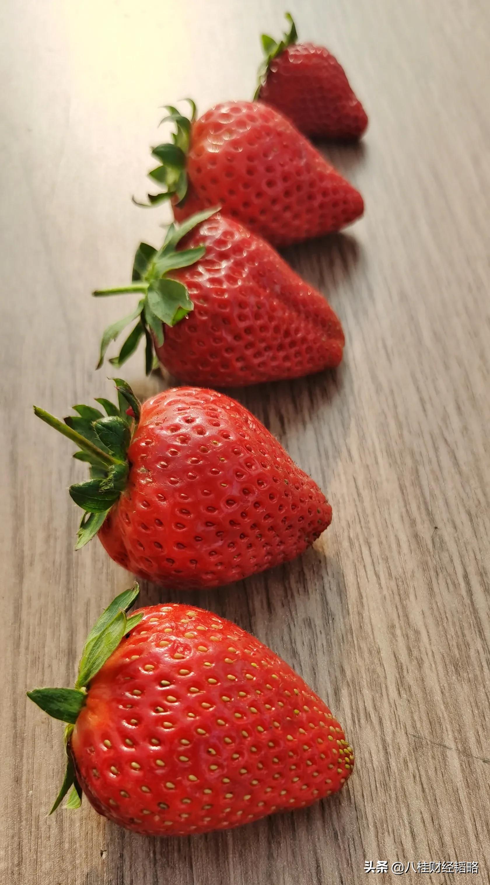 南宁附近草莓园在什么地方,南宁良庆区草莓园