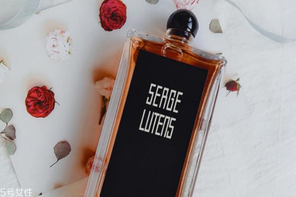 动了情的痞子连刀都拿不稳小说,动了情的痞子连刀都拿不稳下一句