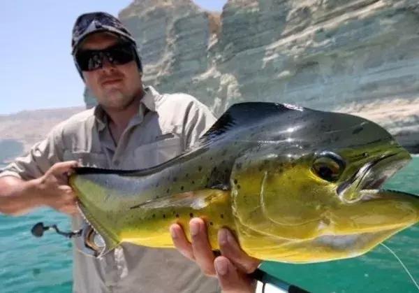 中国最美丽海岸线——广东省最美丽的岛屿：南澳