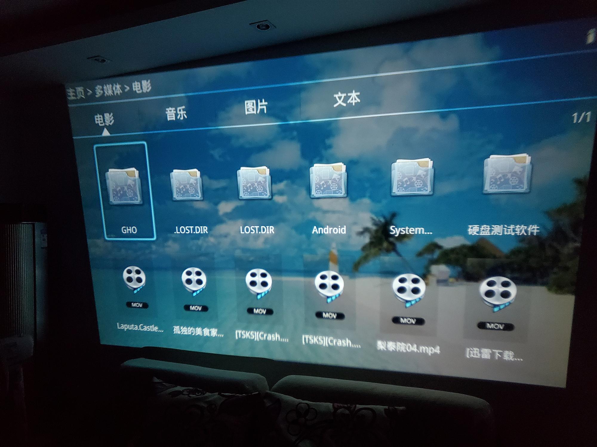 瑞格尔rd-830投影仪说明书,瑞格尔rd819投影仪测评