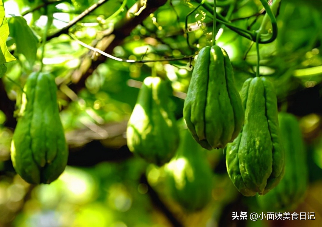 佛手瓜清口汤的配方,佛手瓜新吃法酸辣脆爽超级下饭