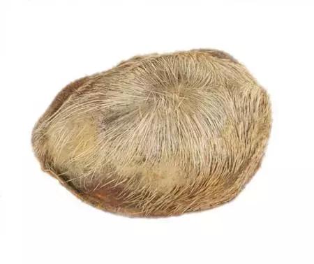 宫斗剧保胎药,宫斗堕胎药