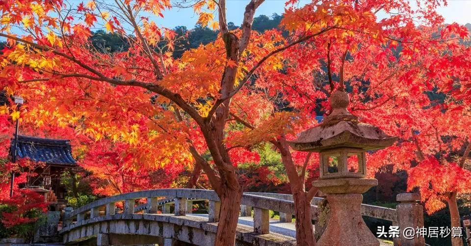 日本京都的文化底蕴,真实的日本京都