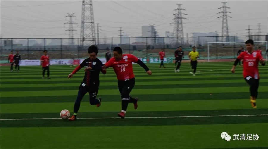 龙湖杯足球赛直播,龙湖镇球赛现场