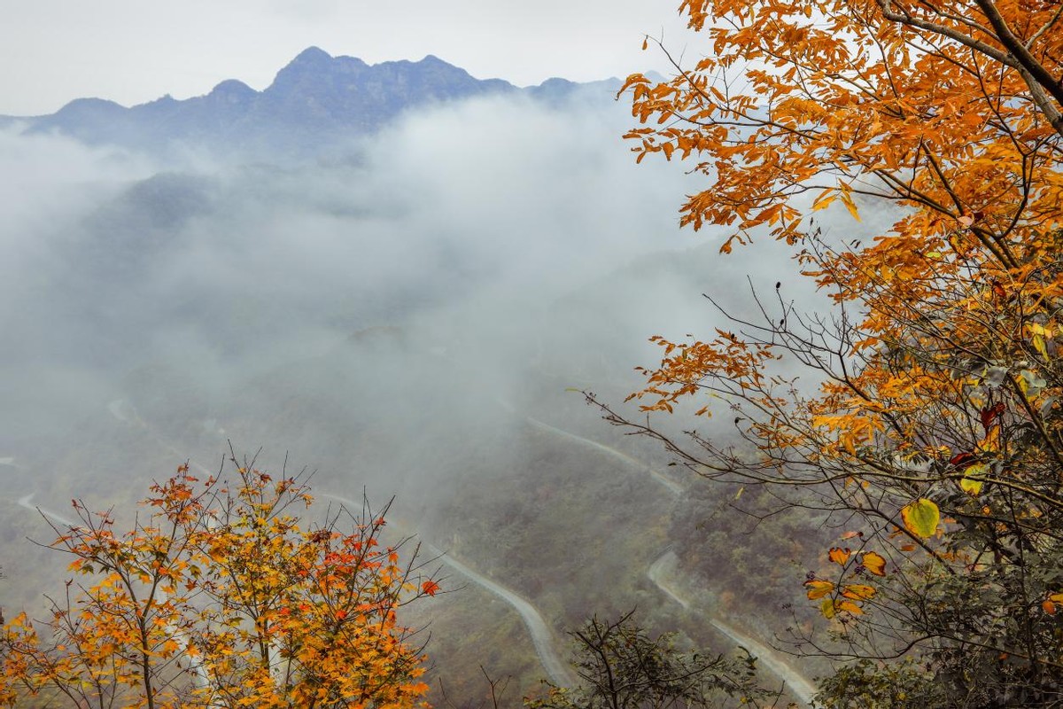 泾县秋天打卡地,秋天泾县网红打卡地