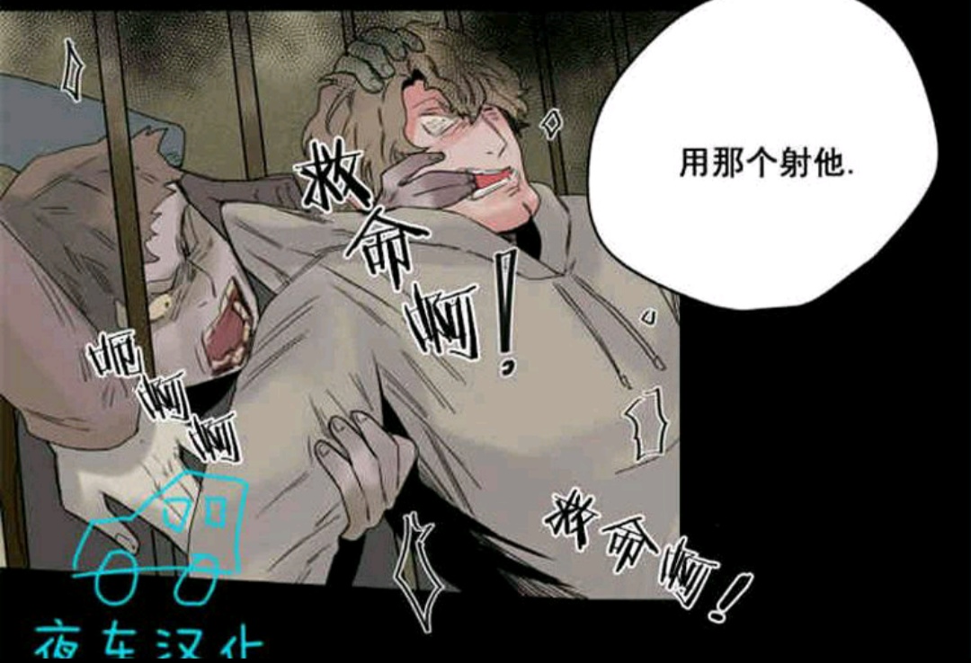 死亡之鸟的凝视第十八话完整版,死亡之鸟的凝视漫画免费