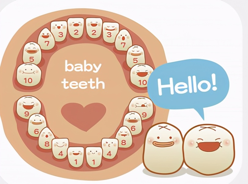 儿童换牙期常见牙齿问题,小朋友换牙新牙已出旧牙没松咋办