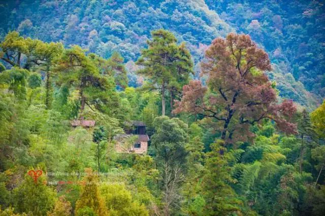 天目山斐文禅意酒店,天目山上客堂酒店斐文野奢民宿