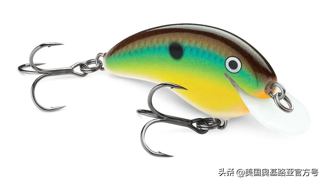 全国渔具展会2021时间表图片,2023国际渔具展会大全一览表