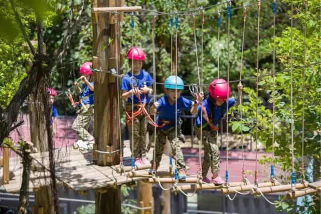丛林探险乐园门票团购抖音,可拉熊丛林探险营地抖音团购