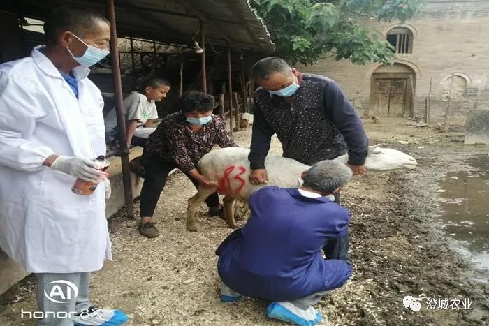 兰陵县疫情防控工作,布病防控宣传