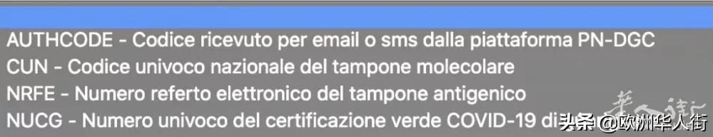 意大利8月5日后，进餐厅要出示健康码！手把手教你如何*载下**