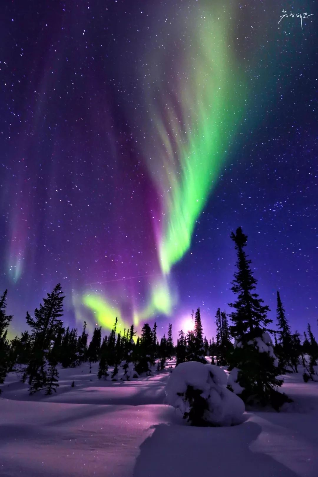 光遇欧若拉季新渴望的东西是什么,欧若拉最渴望的时候