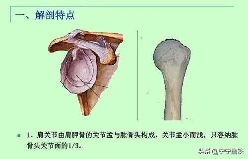 肩膀和手臂连接处疼痛还响,肩膀转圈骨头就咯噔响伴随疼痛