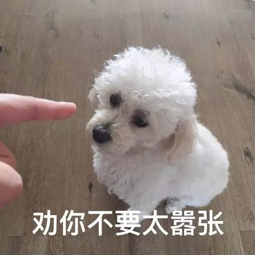 狗狗特别护食还想咬人,狗狗喜欢乱咬乱叫