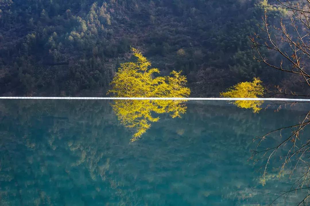 C位出道的千岛湖绝版亲水民宿！要把千岛湖最美的景装进房间……