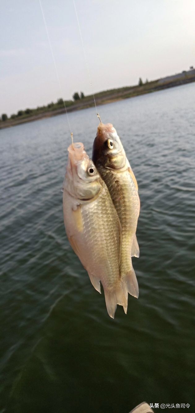 夏季野钓窝里鱼泡很多就是没口,野钓窝子全是小鱼怎么办