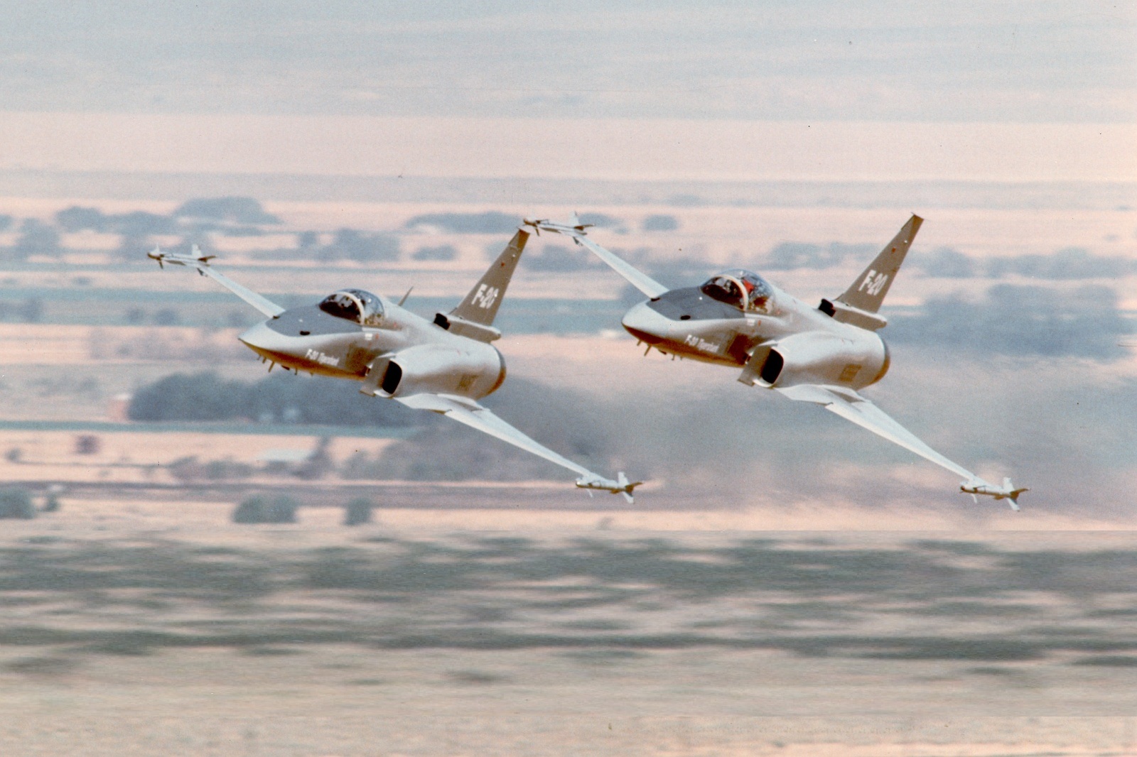 极富悲剧色彩的虎鲸,虎鲨悲剧