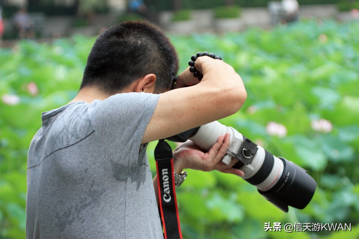 澶忚嚦宸茶嚦鑽疯姳鏅偣 (澶忚嚦宸茶嚦閭ｅ氨蹇樺嵈鐐庣儹鍘昏祻鑺卞惂)