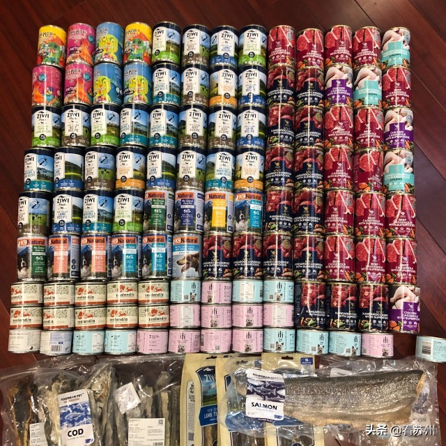 戴LV项圈、吃进口零食、住定制宾馆，网友：活得不如狗