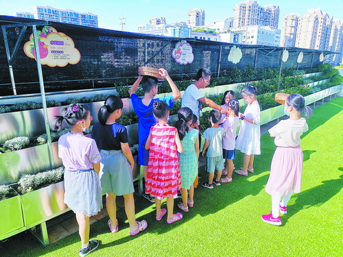 文明处处相伴浸润孩子心灵:湖里区开展形式多样的德育活动,着力培育未成年人社会主义核心价值观(二)