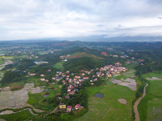 杂文系列六十二：乡村求医记