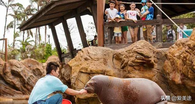 珠海长隆旅游公寓,珠海横琴长隆旅游度假公寓门票