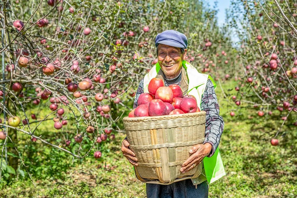 缇庡搲浜戝崡瑙嗛,缇庡搲浜戝崡鍓х収