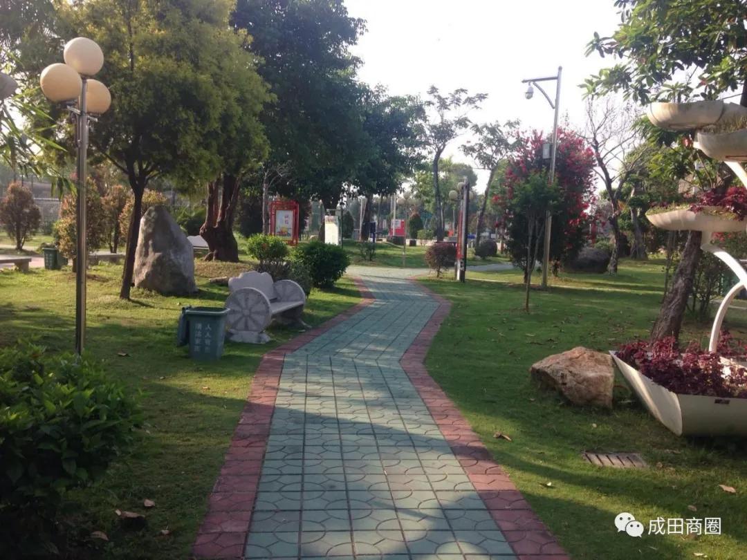 成田文体公园国庆,成田镇文体公园