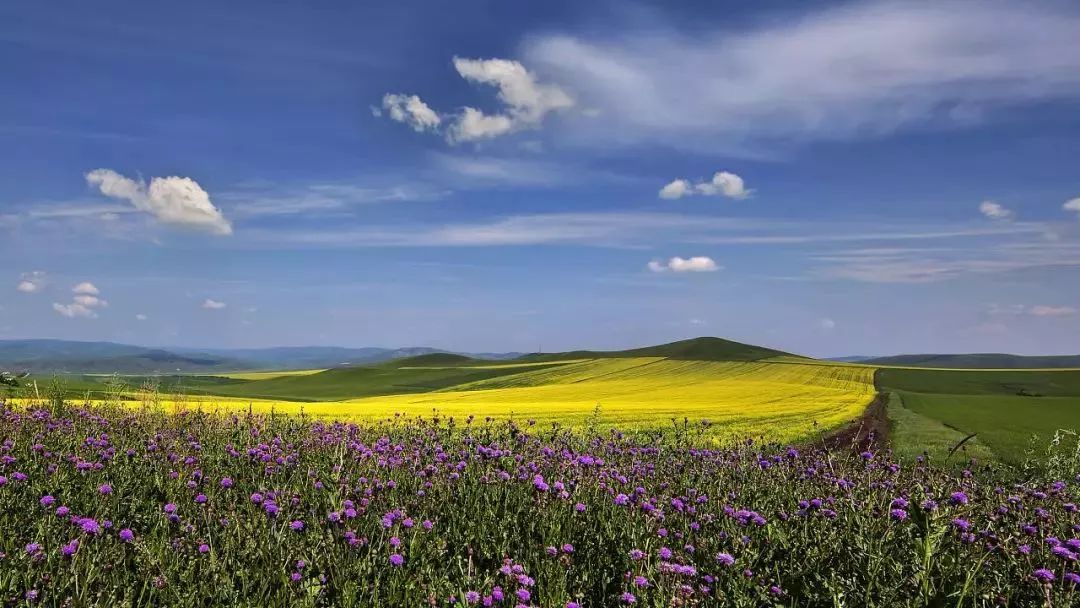 解读谜一样的大兴安岭，触手可及却又掩着神秘的面纱不肯轻易示人