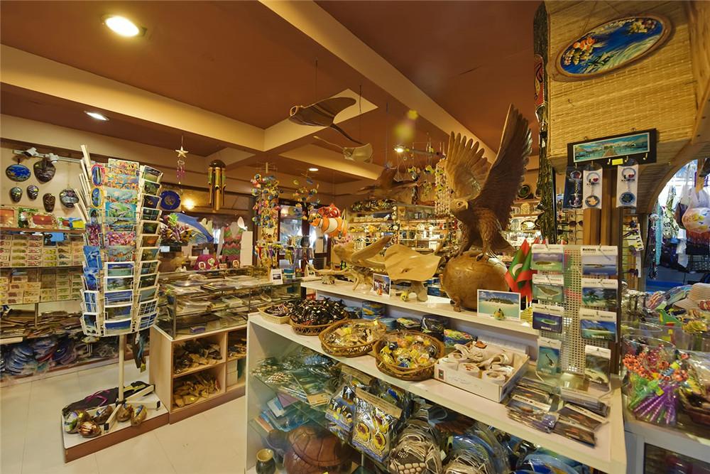 马尔代夫美人蕉岛旅游,马尔代夫蓝色美人蕉