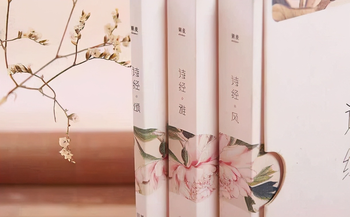 诗经楚辞中的绝美名字男宝,诗经双胞胎男宝宝取名大全