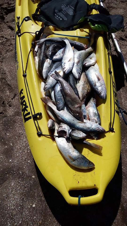 这才是最真实的国外钓鱼人,别崇洋媚外了,原来我们都被骗了