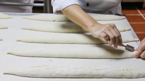 魔都面包大大大大测评，教你吃懂面包！