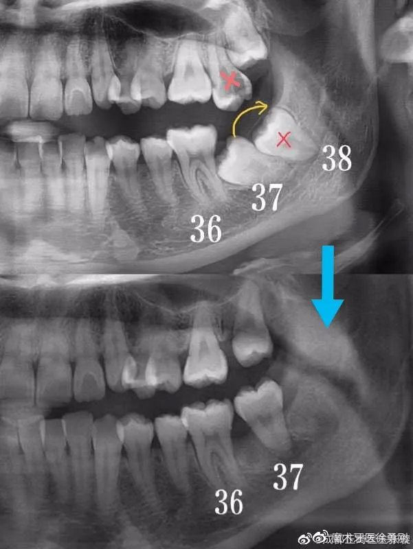 铜川乡*党**，矫牙前，请一字不漏读完这篇！